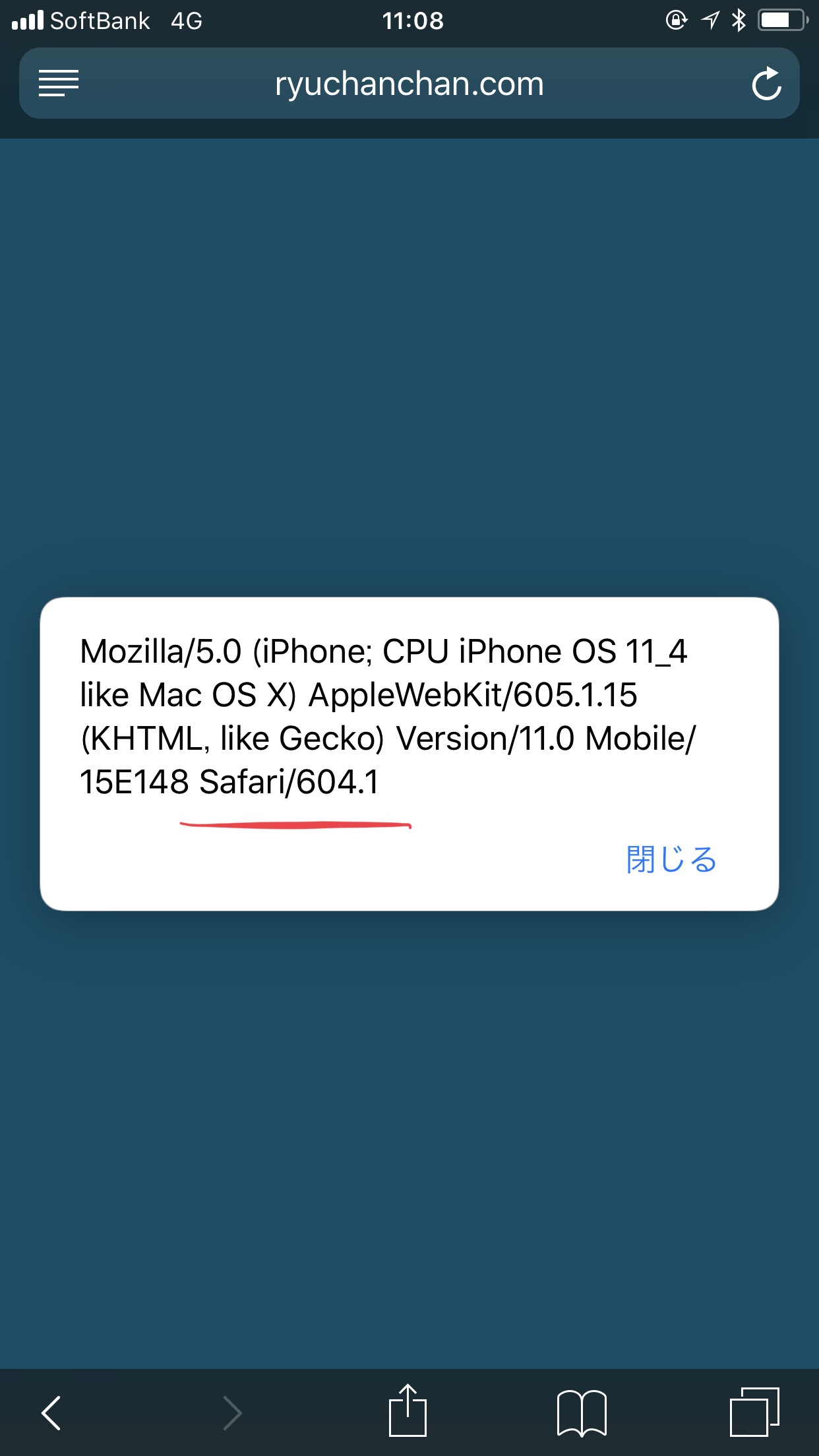 Iphoneやipadでの普段お世話になっているブラウザのsafariのバージョンを知る方法 りゅうちゃん Com